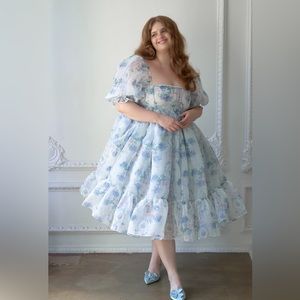 La Belle Etoile Organza French Puff Dress - Selkie